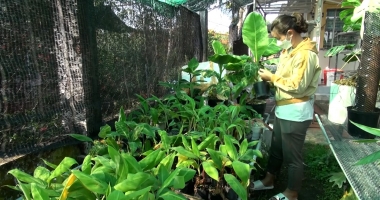 Cuộc sống thường ngày 18-4-3026