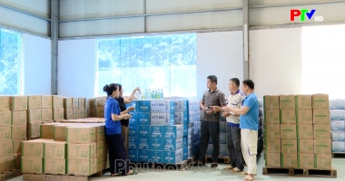 Cuộc sống thường ngày 02-08-2026