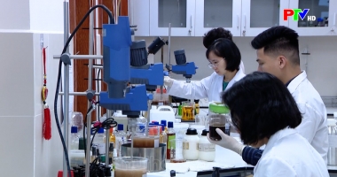 Cuộc sống thường ngày 04-08-2026