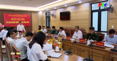 Kết nối 24h ngày 25-01-2026