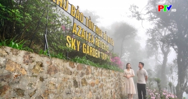 Phu Tho Cultural Express - A garden above the clouds