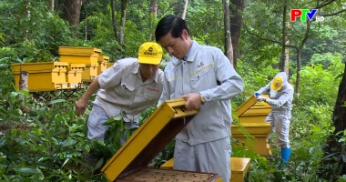 Xây dựng chuỗi liên kết nâng cao giá trị sản phẩm OCOP