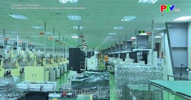 Xây dựng môi trường làm việc an toàn cho người lao động