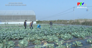 Xây dựng nông thôn mới - Góp sức trẻ xây dựng nông thôn mới