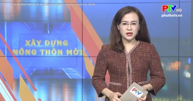 Xây dựng nông thôn mới - Sử dụng hiệu quả diện tích đất nông nghiệp sau dồn đổi