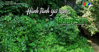 Hành trình giữ rừng Xuân Sơn