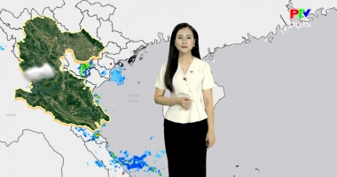 Dự báo thời tiết ngày 11-10-2025