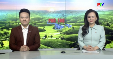 Phú Thọ ngày mới ngày 12-01-2026