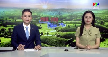 Phú Thọ ngày mới ngày 31-3-2026