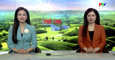 Phú Thọ ngày mới ngày 04-02-2026