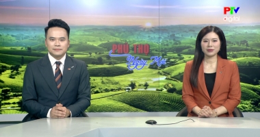 Phú Thọ ngày mới ngày 11-02-2026