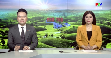 Phú Thọ ngày mới ngày 3-3-2026