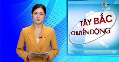 Tây Bắc chuyển động 12-01-2026