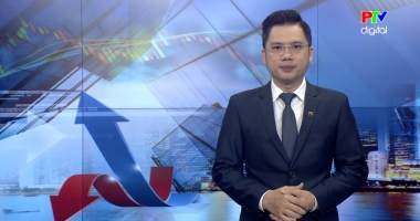 Thị trường tiêu dùng ngày 10-01-2026