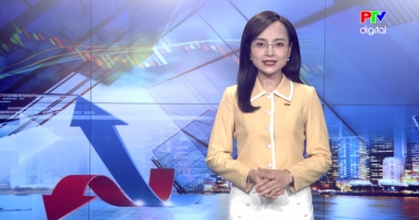 Thị trường tiêu dùng ngày 17-3-2026