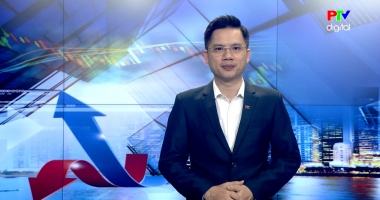 Thị trường tiêu dùng ngày 22-4-2026