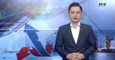 Thị trường tiêu dùng ngày 12-01-2026