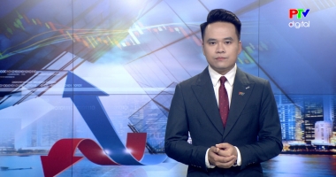 Thị trường tiêu dùng ngày 14-02-2026