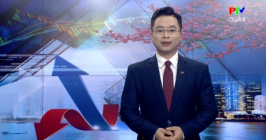 Thị trường tiêu dùng ngày 19-02-2026