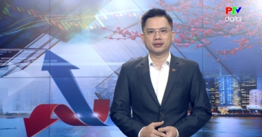 Thị trường tiêu dùng ngày 21-02-2026