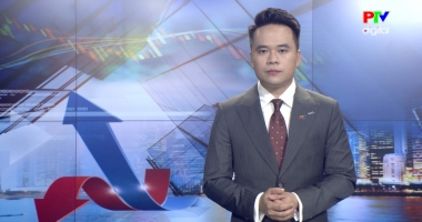 Thị trường tiêu dùng ngày 24-02-2026