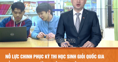 Nỗ lực chinh phục kì thi học sinh giỏi quốc gia của học sinh trường không chuyên