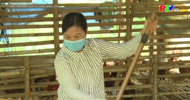 Đào tạo nghề cho lao động nông thôn