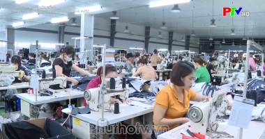 Phát triển Đảng trong doanh nghiệp ngoài nhà nước