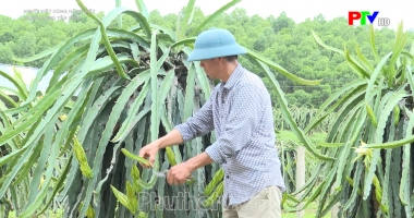 Thanh Long Yên Kiện