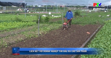 Liên kết với doanh nghiệp tìm đầu ra cho sản phẩm