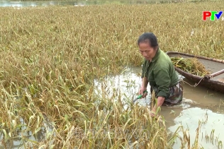 Bản tin 18h30 ngày 17-9-2024