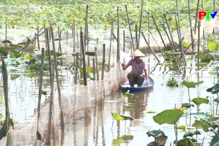 Bảo vệ thủy sản mùa mưa bão