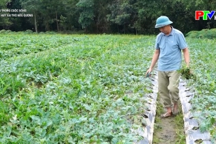 Phát huy vai trò nêu gương