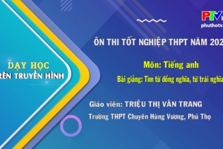 Môn Tiếng Anh lớp 12: Synonyms and Antonyms