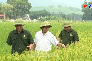 Xông pha thời chiến, cống hiến thời bình