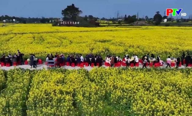 Bản tin quốc tế 11h45 ngày 17-4-2026