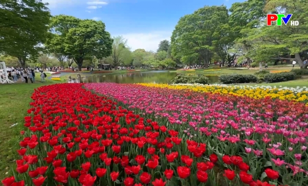 Bản tin quốc tế 11h45 ngày 27-4-2026