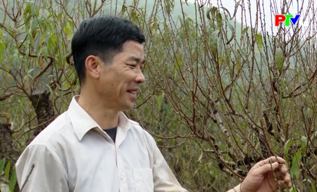 Bản tin tiếng Anh - Phu Tho News ngày 14-1-2026