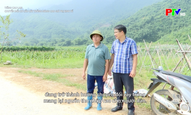 Tiếng Cao Lan – Chuyển đổi cơ cấu cây trồng nâng cao giá trị kinh tế Tiếng Cao Lan – Chuyển đổi cơ cấu cây trồng nâng cao giá trị kinh tế
