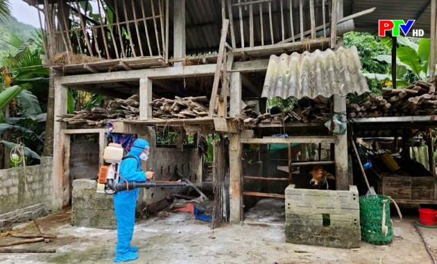 Cuộc sống thường ngày 09-05-2026