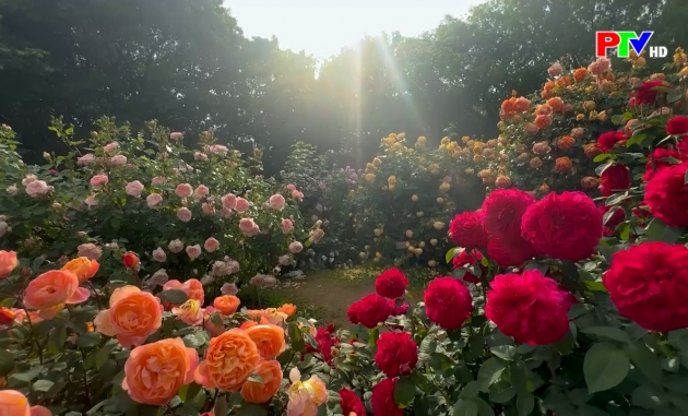 Cuộc sống thường ngày 10-03-2026