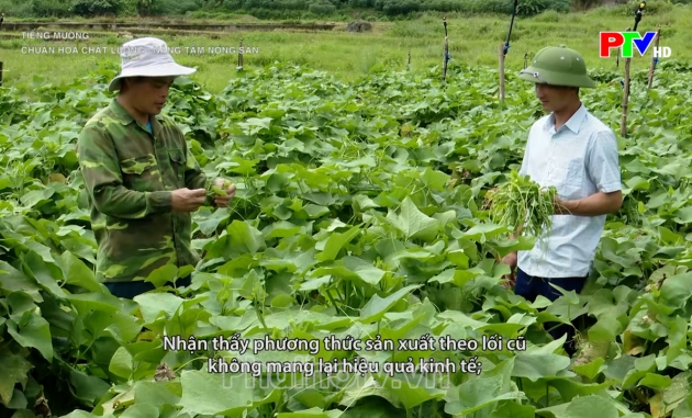 Tiếng Mường – Chuẩn hóa chất lượng – nâng tầm nông sản Tiếng Mường – Chuẩn hóa chất lượng – nâng tầm nông sản