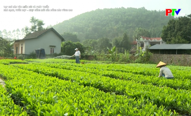 Nhà sạch, vườn đẹp - Nhịp sống mới của đồng bào vùng cao