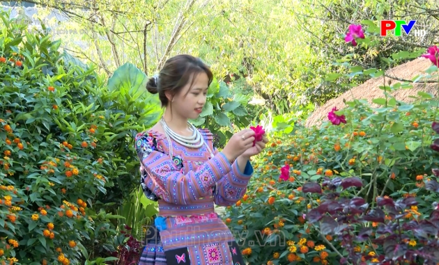 Tiếng Thái - Sắc màu du lịch Pà Cò Tiếng Thái - Sắc màu du lịch Pà Cò