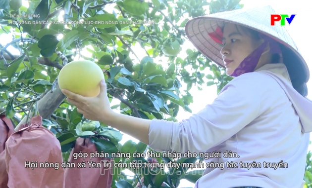 Tiếng Mường - Hội Nông dân cấp xã tạo động lực cho nông dân phát triển Tiếng Mường - Hội Nông dân cấp xã tạo động lực cho nông dân phát triển