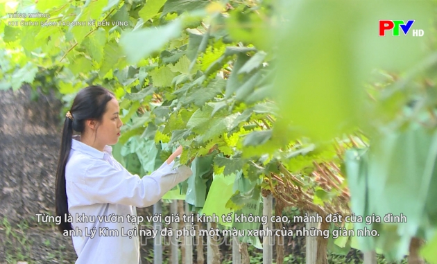 Tiếng Mường - Khi chính sách tạo sinh kế bền vững