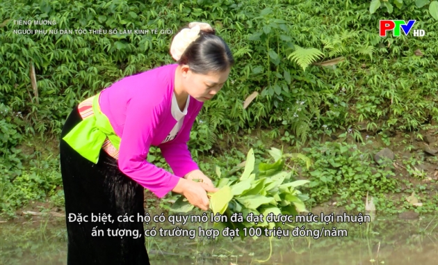 Tiếng Mường - Người phụ nữ dân tộc thiểu số làm kinh tế giỏi