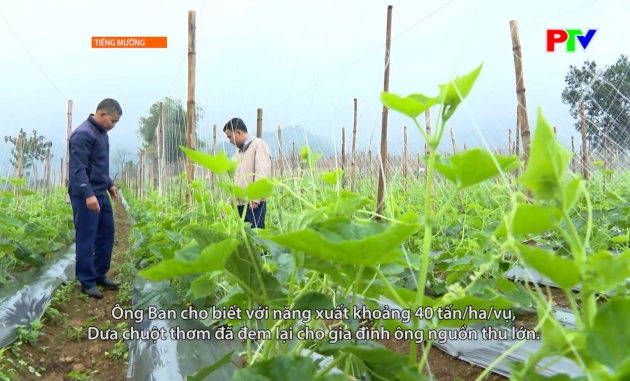 Tiếng Mường - Phú Thọ nỗ lực thực hiện mục tiêu giảm nghèo