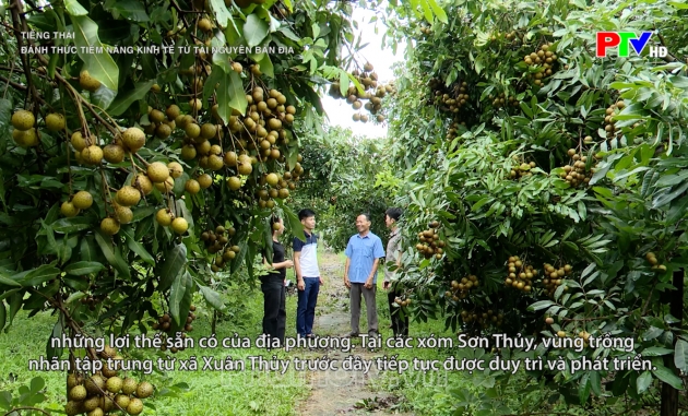 Tiếng Thái - Đánh thức tiềm năng kinh tế từ tài nguyên bản địa