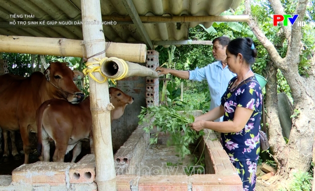 Tiếng Thái - Hỗ trợ sinh kế giúp người dân thoát nghèo Tiếng Thái - Hỗ trợ sinh kế giúp người dân thoát nghèo